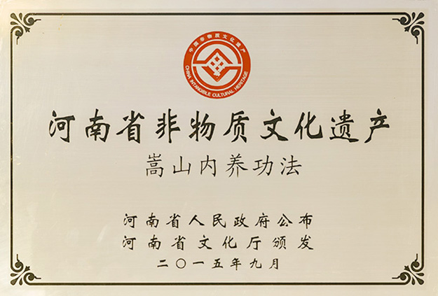 文化-《少林禅武医宗师无言正道》出版