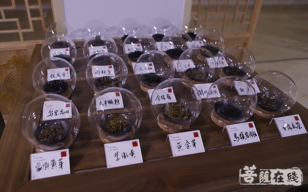方山-至美茶会——中国百茶宴南京站在南京方山定林寺开幕