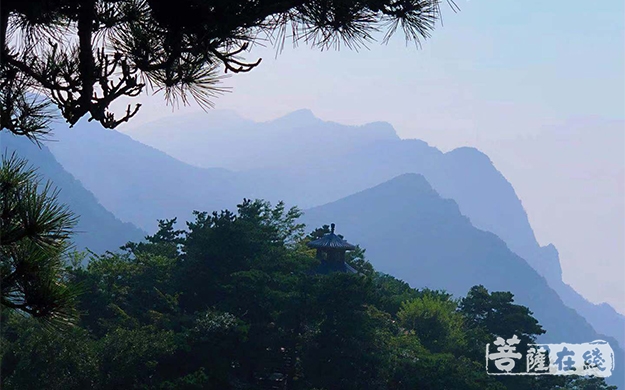 佛教-宁波雪窦山佛教协会赴江西开展爱国主义教育活动