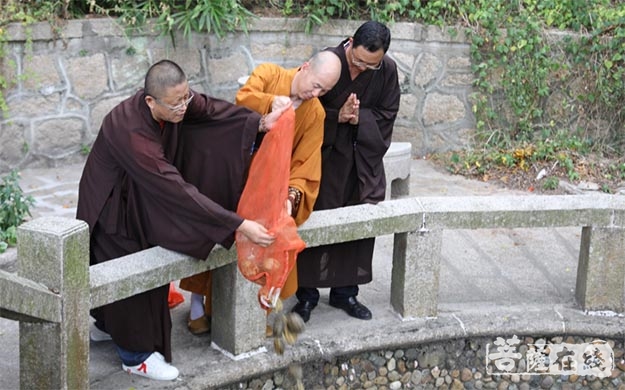 佛教-鸿山寺第三十个万佛年例法会于中秋节圆满