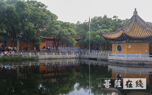 佛教-普陀山佛教协会举行系列活动献礼新中国成立七十周年 佛教-普陀山佛教协会举行系列活动献礼新中国成立七十周年