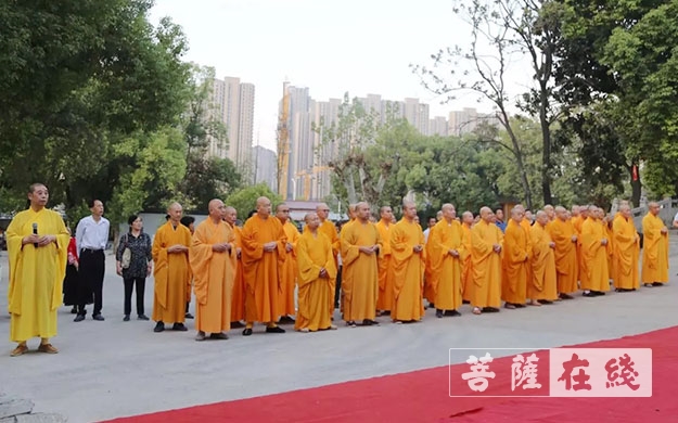 升旗仪式-宝通禅寺举行升国旗仪式 庆祝中华人民共和国成立70周年