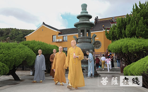 台风-道慈大和尚一行赴法雨禅寺等寺院查看台风影响情况