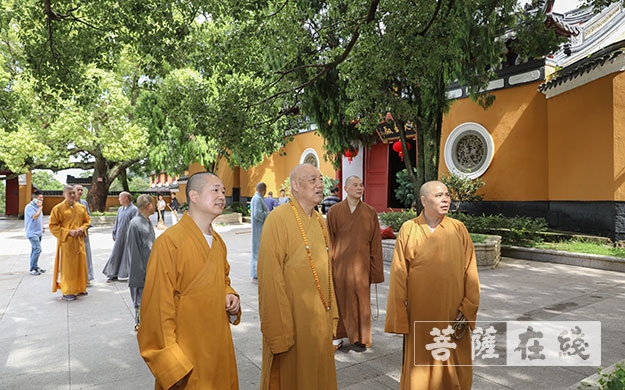 台风-道慈大和尚一行赴法雨禅寺等寺院查看台风影响情况