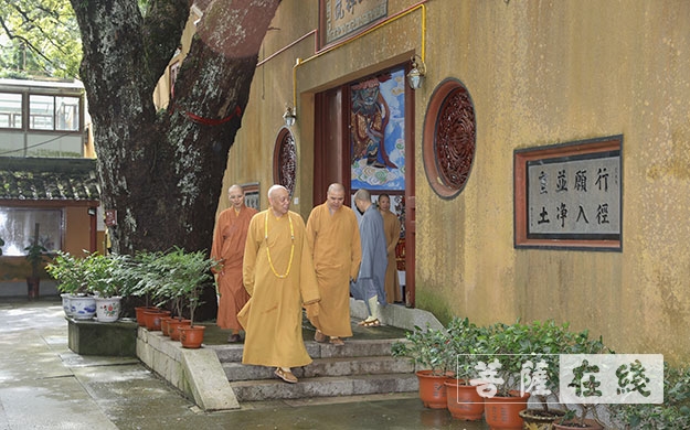台风-道慈大和尚一行赴法雨禅寺等寺院查看台风影响情况
