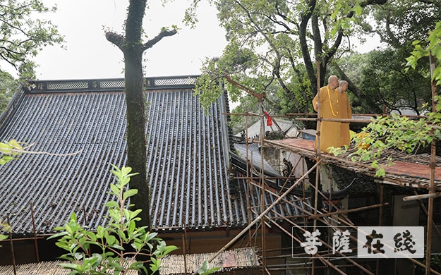 台风-道慈大和尚一行赴法雨禅寺等寺院查看台风影响情况
