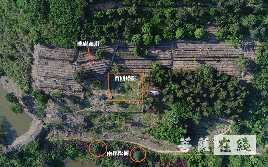 天童寺-揭开千年古刹“地下迷宫”的神秘面纱