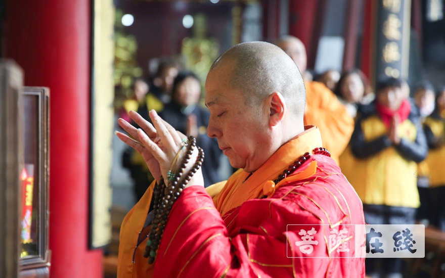 摄影-上海洪福寺举行腊八施粥慈善感恩活动