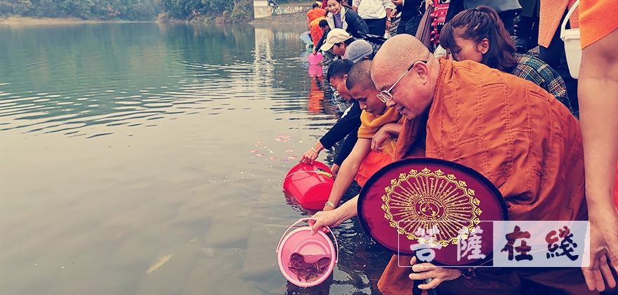 云南沧源金龙寺举行辞旧迎新放生祈福活动