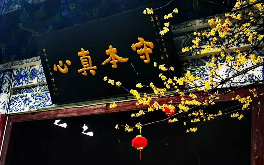 佛教-正慈法师“湖北加油”日记：愿春雨洗却受伤的心灵