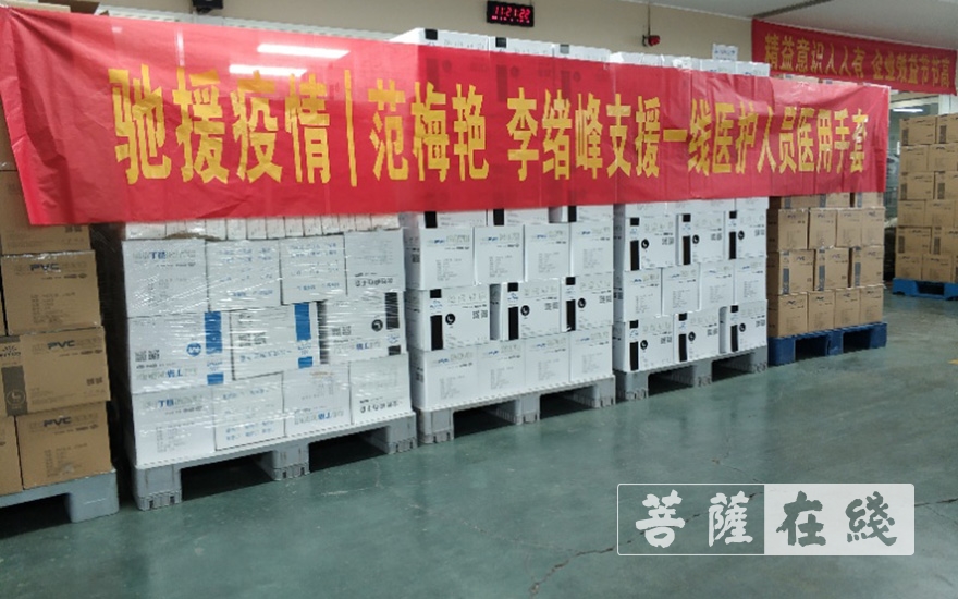 手套-范梅艳居士捐赠40万双医用检查手套支援一线医护人员