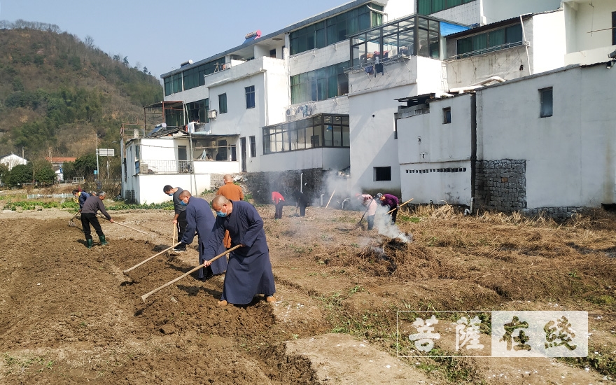 上虞-农禅并重｜上虞通泽寺绿色基地春耕“播种”忙