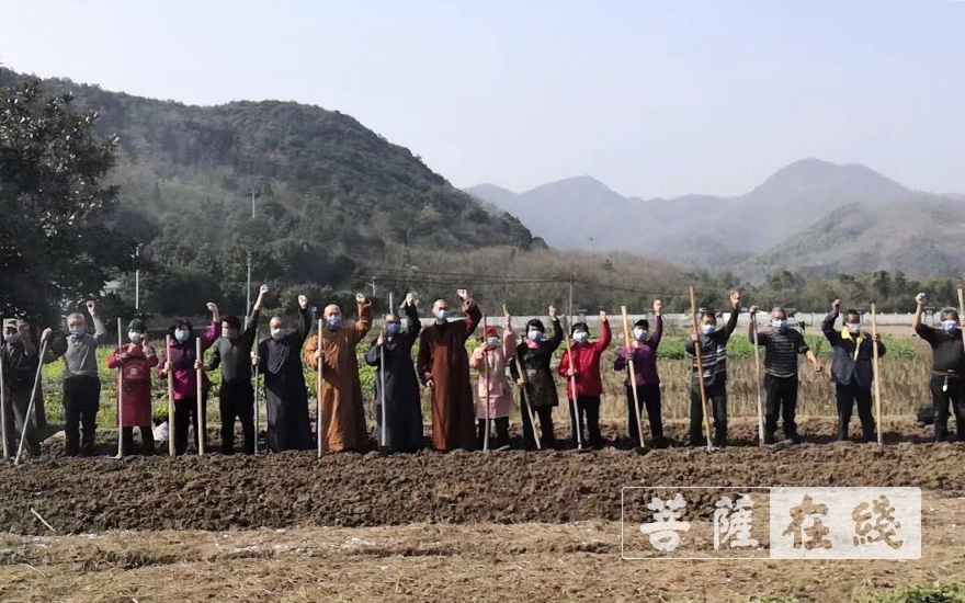 上虞-农禅并重｜上虞通泽寺绿色基地春耕“播种”忙