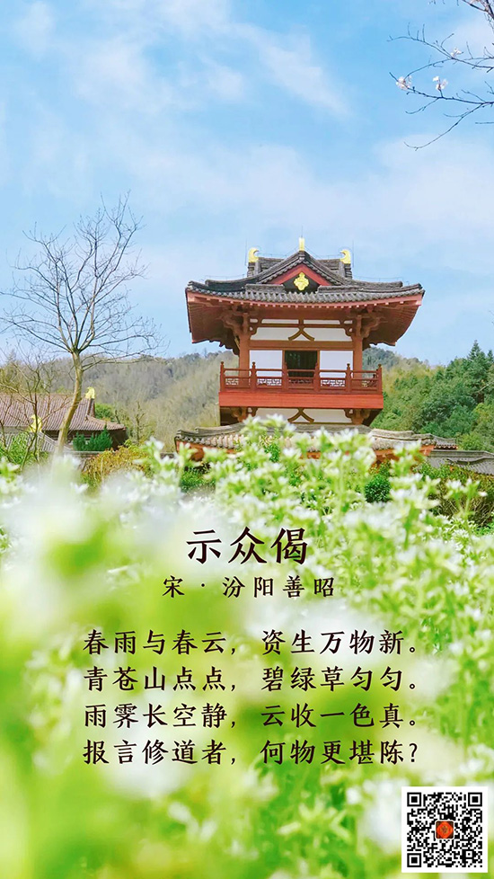 曹山视频 | 春分美景