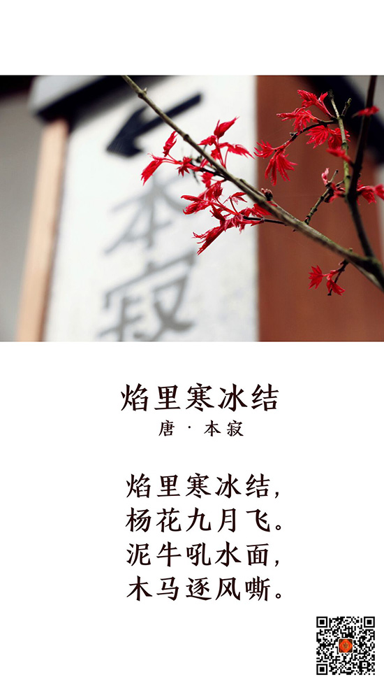 曹山视频 | 春分美景