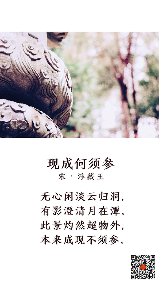 曹山视频 | 春分美景