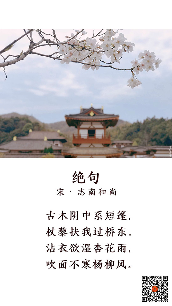 曹山视频 | 春分美景