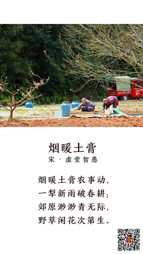曹山视频 | 春分美景