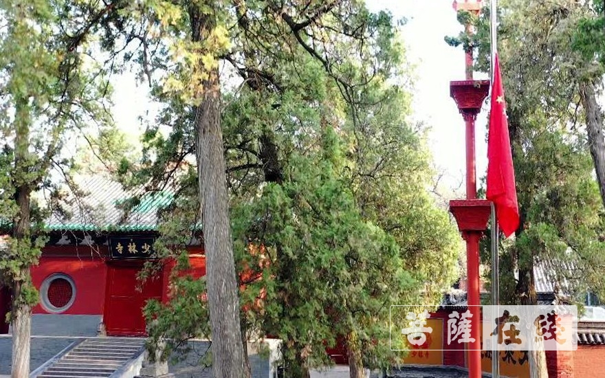 肺炎-庚子清明，嵩山少林寺下半旗为新冠肺炎逝者默哀