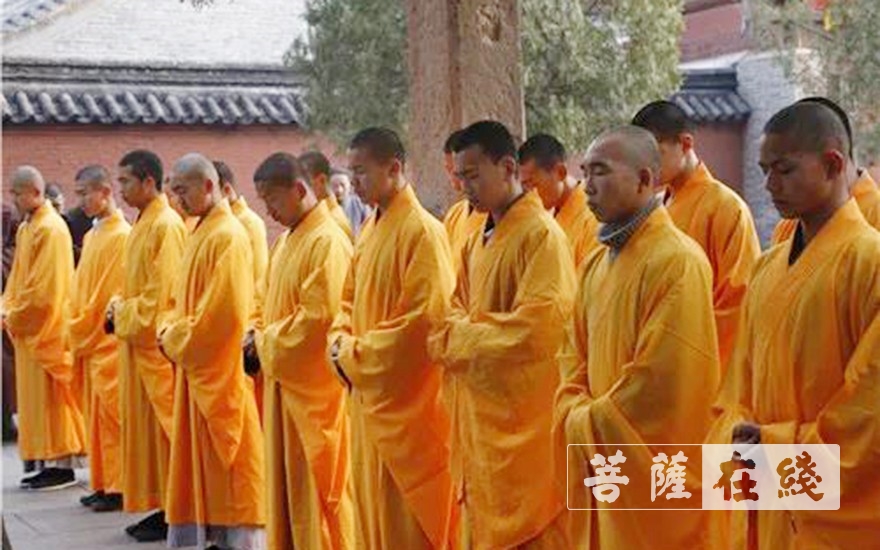 肺炎-庚子清明，嵩山少林寺下半旗为新冠肺炎逝者默哀
