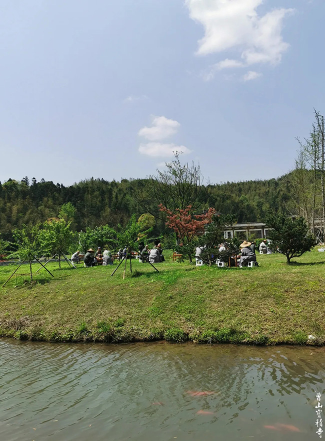 山居｜曹山春天的野趣