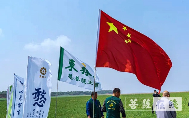 东林寺-庐山东林寺尝试为鄱阳湖周边白鹤种植“粮库”