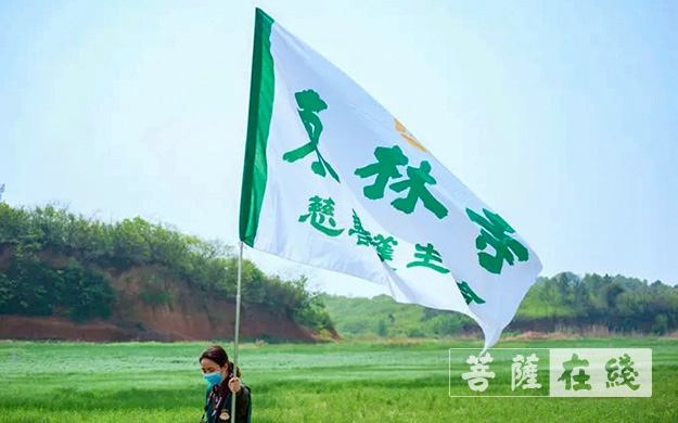 东林寺-庐山东林寺尝试为鄱阳湖周边白鹤种植“粮库”