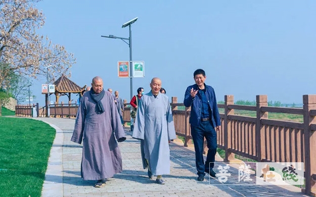 东林寺-庐山东林寺尝试为鄱阳湖周边白鹤种植“粮库”