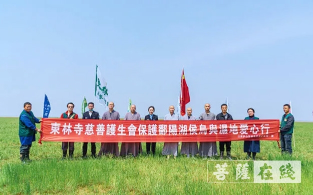 东林寺-庐山东林寺尝试为鄱阳湖周边白鹤种植“粮库”