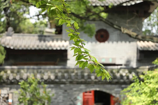 佛教-在湖北，想念寺院的这些日子，我们一起“云赏”春景