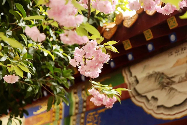 佛教-在湖北，想念寺院的这些日子，我们一起“云赏”春景