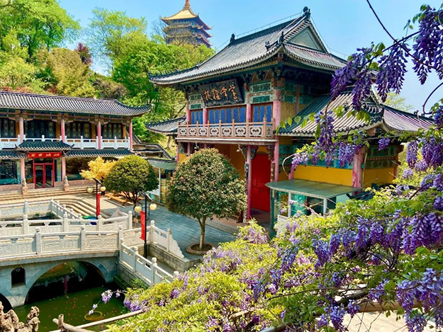 佛教-在湖北，想念寺院的这些日子，我们一起“云赏”春景