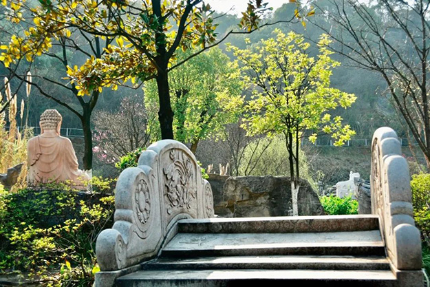 佛教-在湖北，想念寺院的这些日子，我们一起“云赏”春景