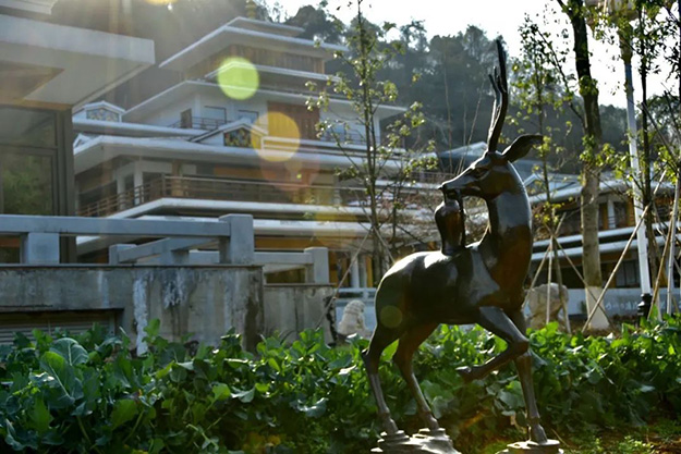 佛教-在湖北，想念寺院的这些日子，我们一起“云赏”春景