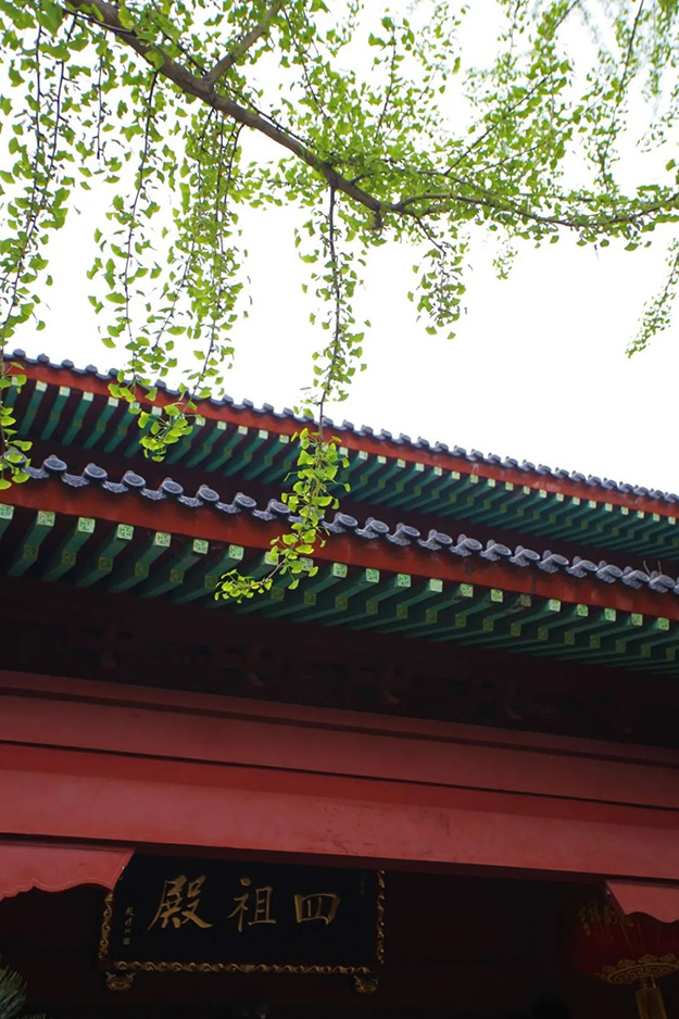 佛教-在湖北，想念寺院的这些日子，我们一起“云赏”春景