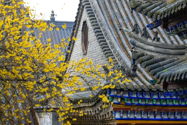佛教-在湖北，想念寺院的这些日子，我们一起“云赏”春景