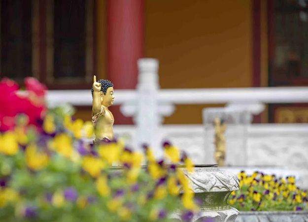 佛教-在湖北，想念寺院的这些日子，我们一起“云赏”春景