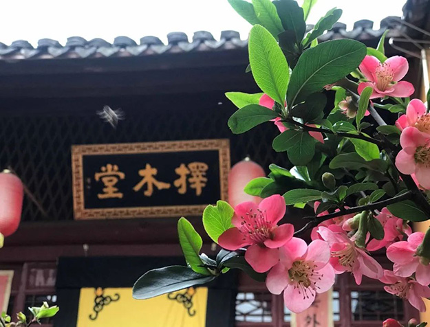 佛教-在湖北，想念寺院的这些日子，我们一起“云赏”春景