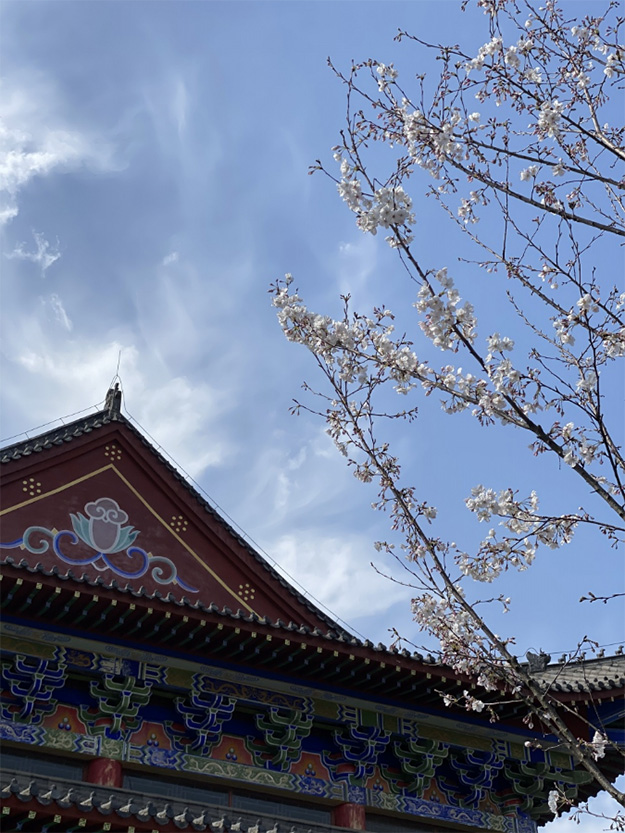 佛教-在湖北，想念寺院的这些日子，我们一起“云赏”春景