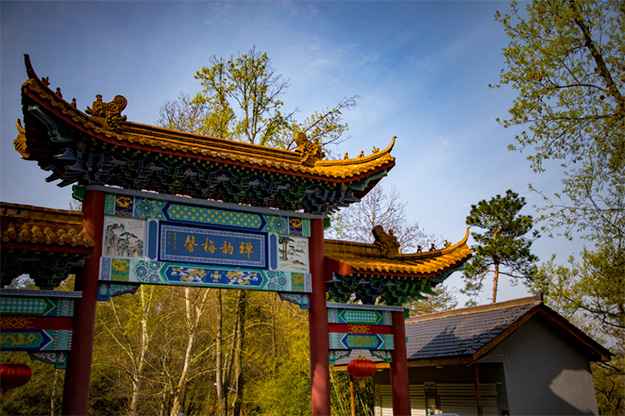 佛教-在湖北，想念寺院的这些日子，我们一起“云赏”春景