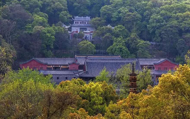 佛教-在湖北，想念寺院的这些日子，我们一起“云赏”春景