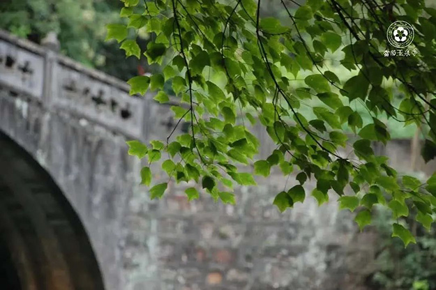 佛教-在湖北，想念寺院的这些日子，我们一起“云赏”春景