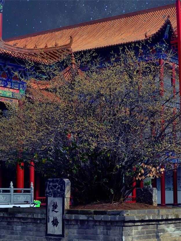 佛教-在湖北，想念寺院的这些日子，我们一起“云赏”春景