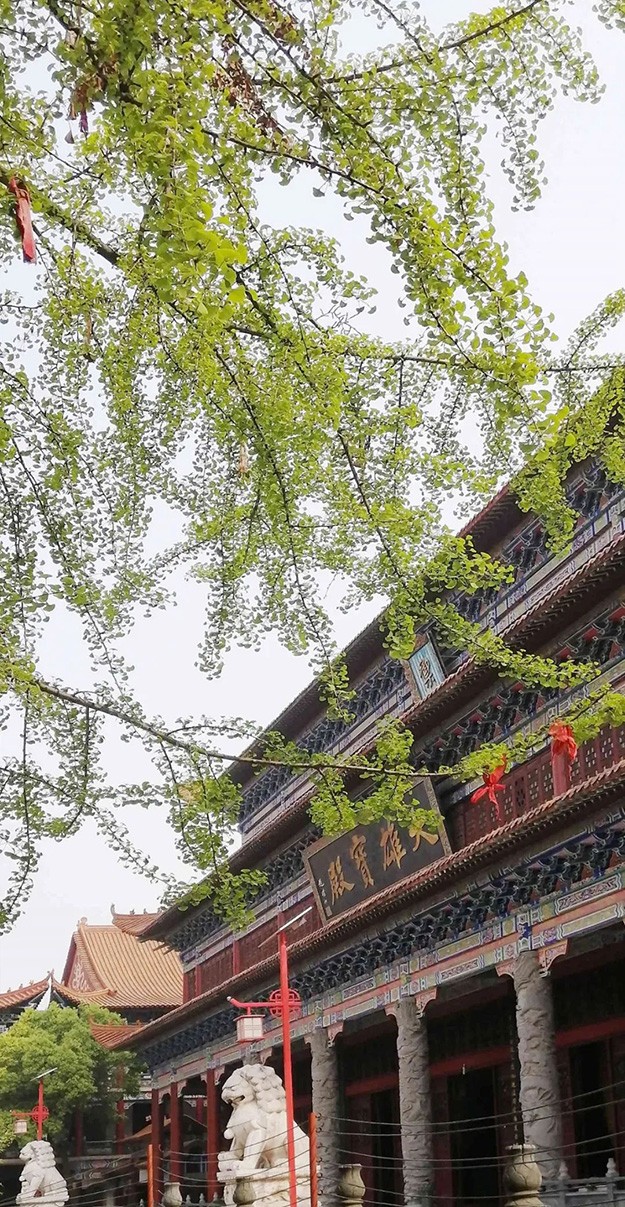 佛教-在湖北，想念寺院的这些日子，我们一起“云赏”春景