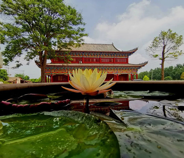 佛教-在湖北，想念寺院的这些日子，我们一起“云赏”春景