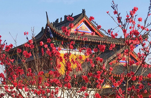佛教-在湖北，想念寺院的这些日子，我们一起“云赏”春景