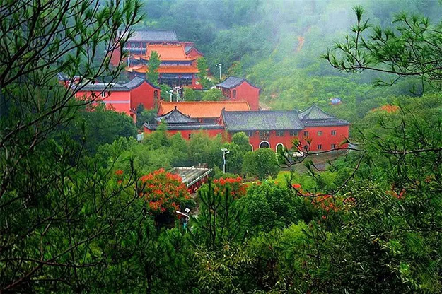 佛教-在湖北，想念寺院的这些日子，我们一起“云赏”春景