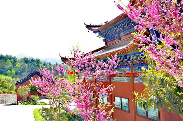 佛教-在湖北，想念寺院的这些日子，我们一起“云赏”春景