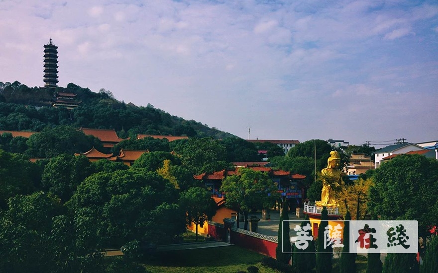 岳阳-岳阳圣安寺全体僧众进行新冠肺炎核酸检测