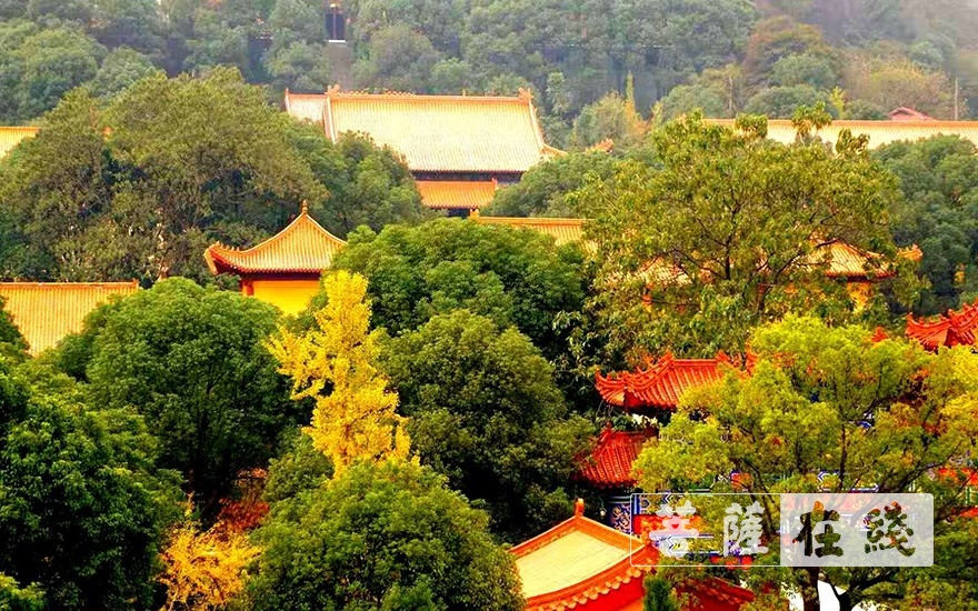 岳阳-岳阳圣安寺全体僧众进行新冠肺炎核酸检测